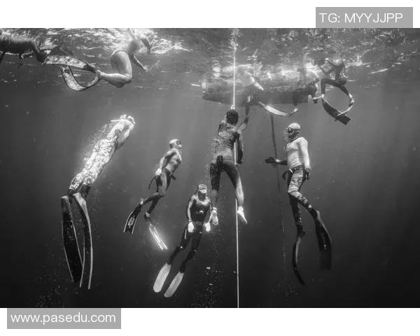 极限运动新手指南:从零起步掌握速度与技巧的全面攻略